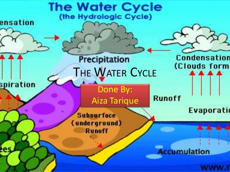 The water cycle