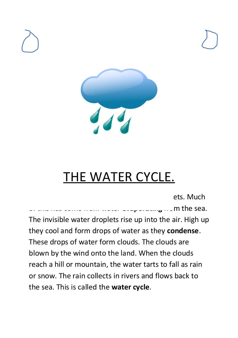Importance of water cycle essay picture
