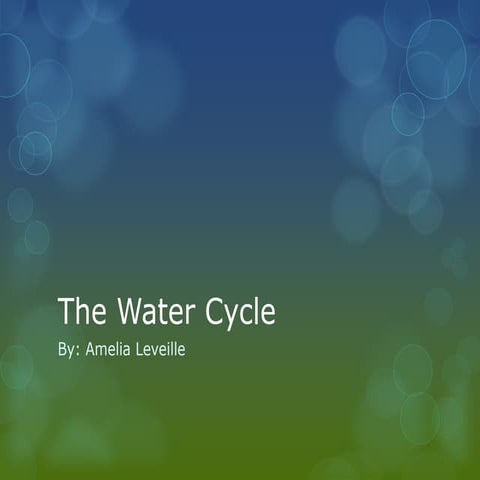 The water cycle pp