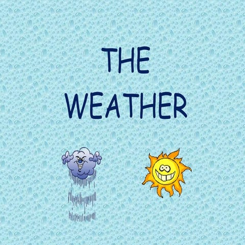 The weather