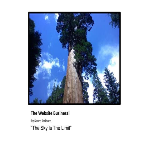 The website business!   agr 399