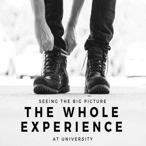 The Whole Experience