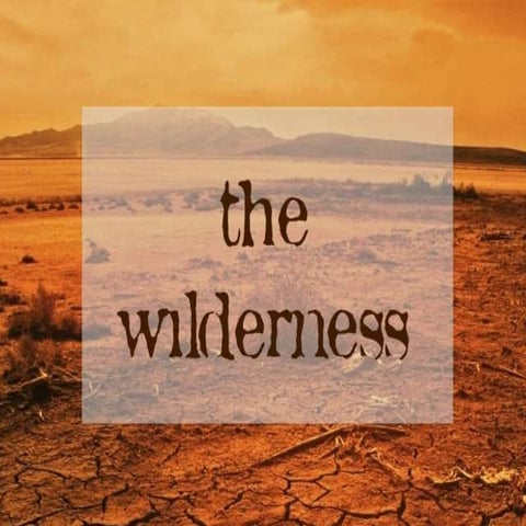 The Wilderness