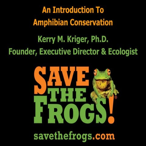 The Wild World Of Frogs (An Introduction To Amphibian Conservation)