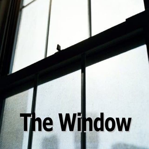 The  Window