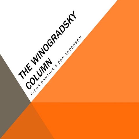 The Winogradsky Column