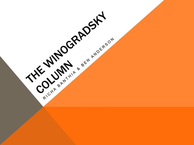 The Winogradsky Column