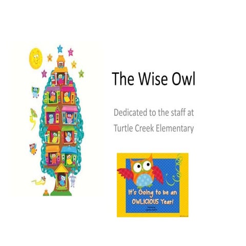 The wise owl