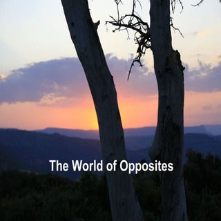 The World of Opposites
