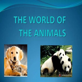 The world of the animals by Ainoa Á...