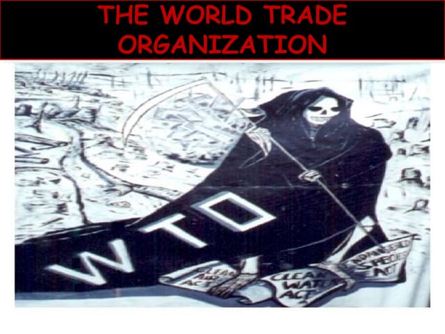 The world trade organization (wto)