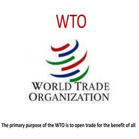 International Economic environment: The WTO