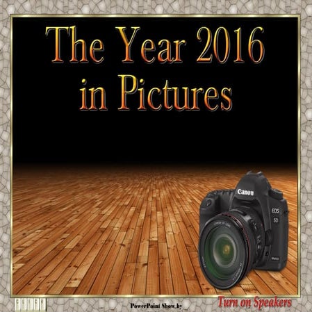 The year 2016 in pictures