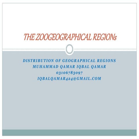 The zoogeographical region