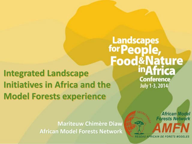 Chimere Diaw - Integrated Landscape Initiatives in Africa and the Model Forests experience