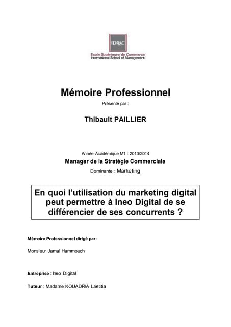 Mémoire Professionnel  - En quoi l’utilisation du marketing digital peut perm...