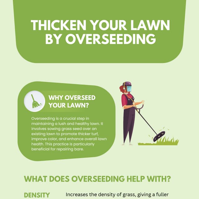 Thicken your lawn by overseeding | PDF