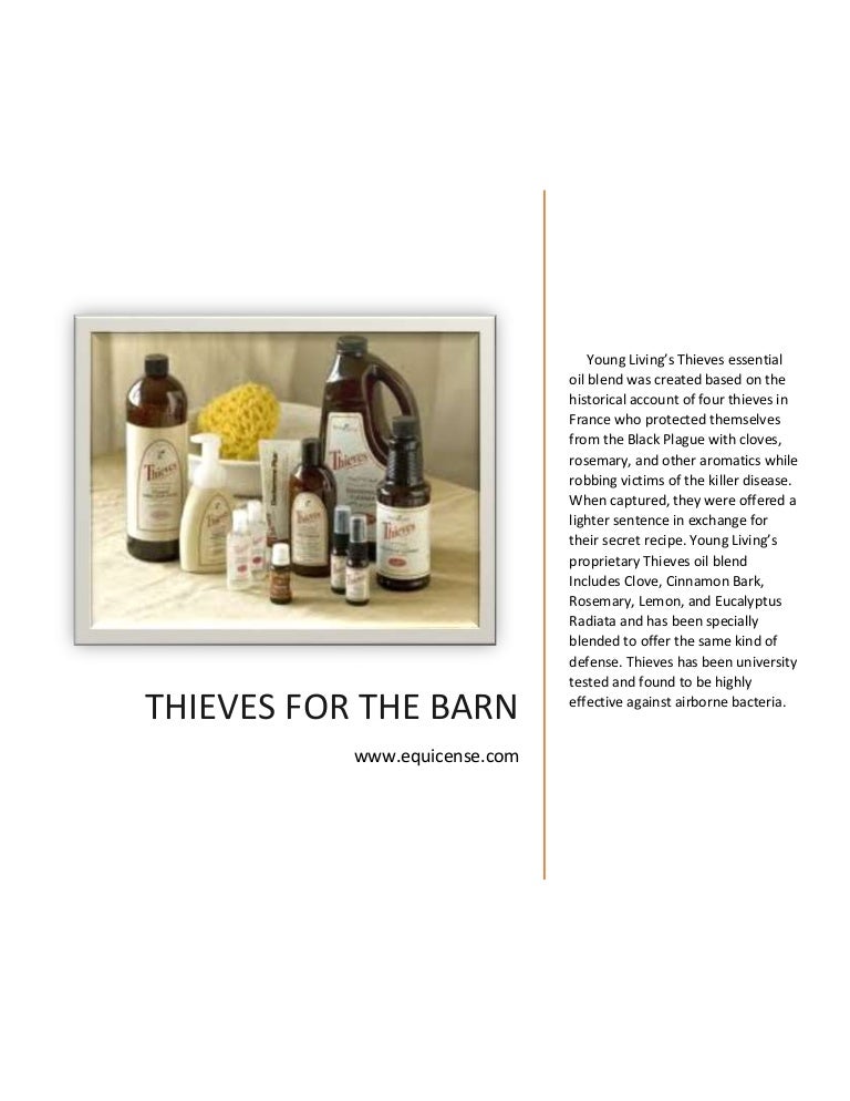 Thieves Cleaner For Horses And Barn Use