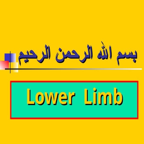 anatomy of the Thigh  & gluteal muscles.ppt