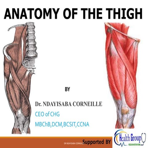 OSTEOLOGY OF LOWER LIMBS .ppt