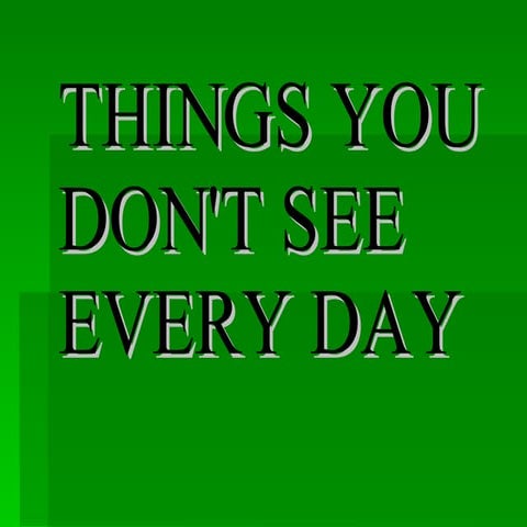 Things You Dont See Everyday