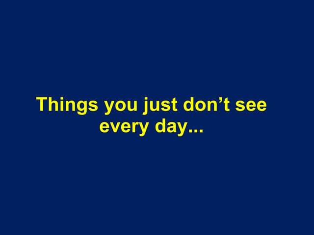 Things_you_dont_see_every_day