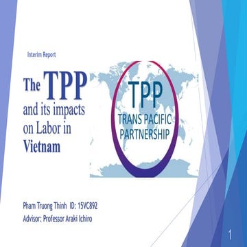 Thinh tpp labour_interim_report