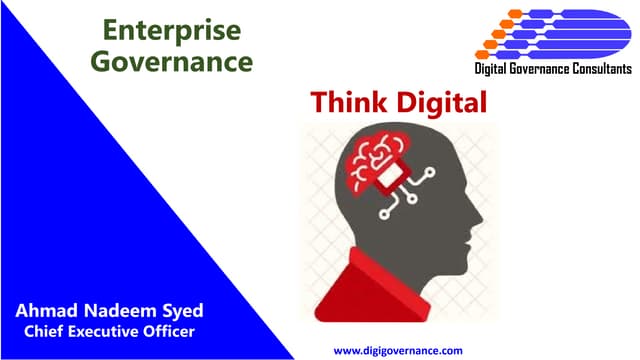 Think Digital - Enterprise Governance Summary.pdf