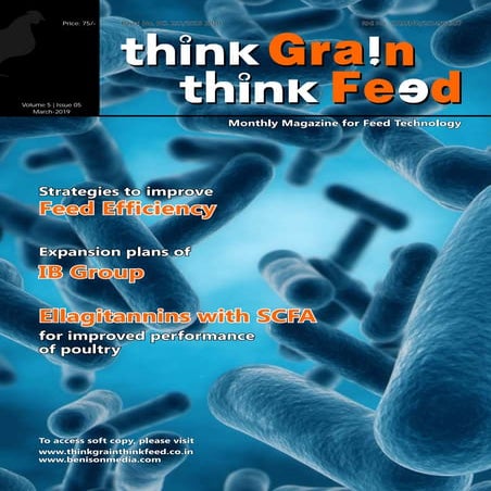 Think grain think feed march 2019