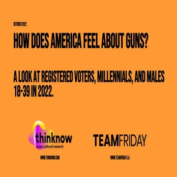 Gun Control Report 2022