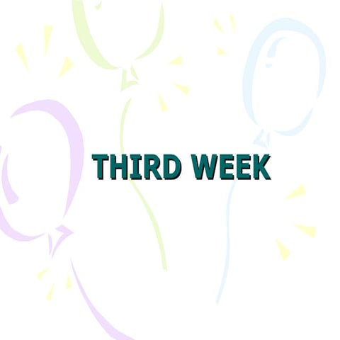 Fourth Week | PPT