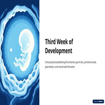 Third-Week-of-Development. Gasrulation neural tube formation | PPTX