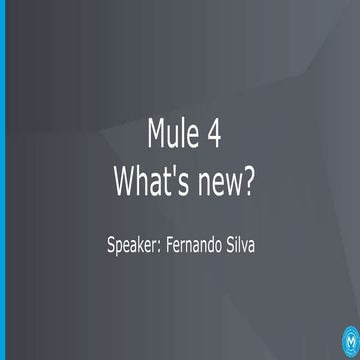 Third Meetup Slides Mulesoft Mexico City
