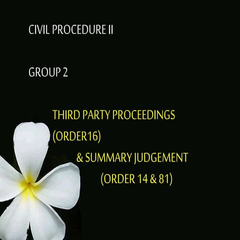 Third party proceeding & summary judgement