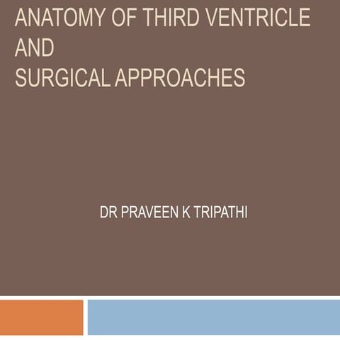 Third ventricle surgical anatomy and approaches