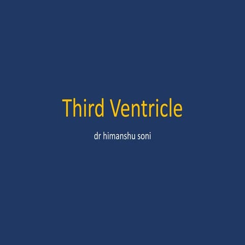 Third ventricle
