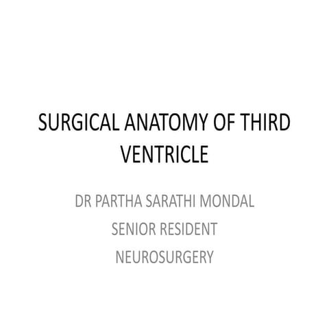 Third ventricle