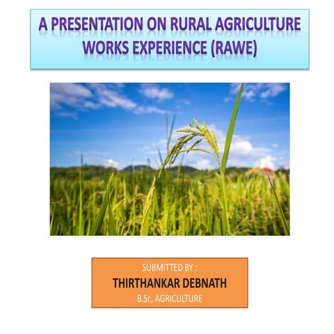 The Rural Agricultural Work Experience (RAWE)