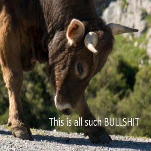 This is all such bullshit