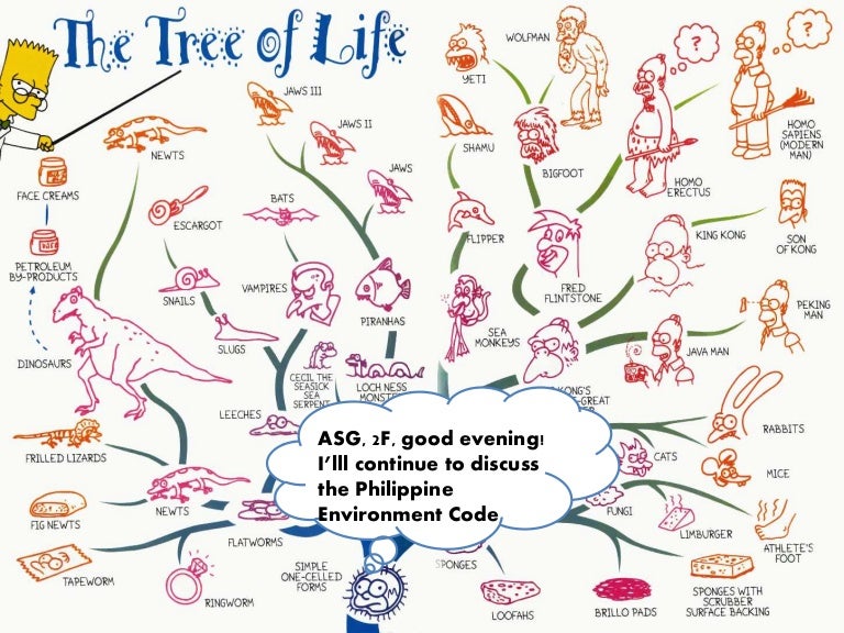 Violation of environmental laws in the philippines picture