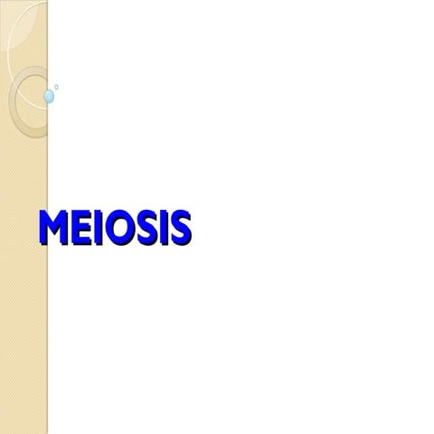 this is the mitosis of the presntations.ppt