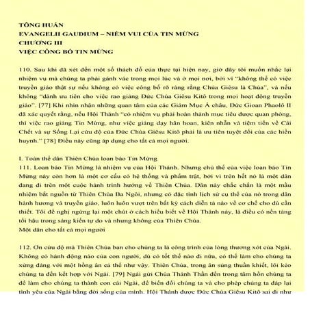 Tông huấn Evangelii Gaudium - Niềm vui của Tin Mừng (phần 3)