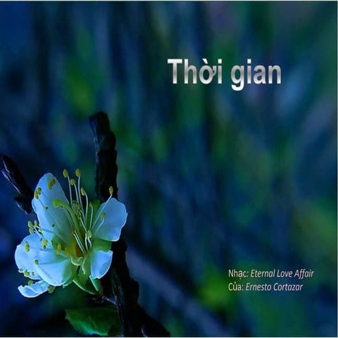 THỜI GIAN .....
