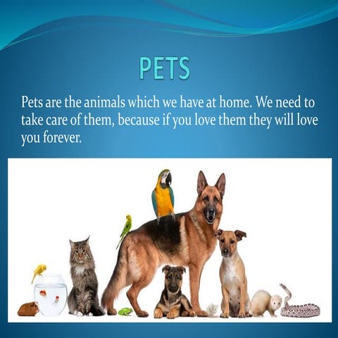 What is a pet | PPTX