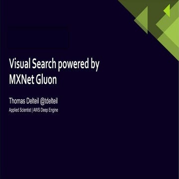 Visual Search engine with MXNet Gluon and HNSW