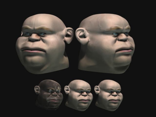 Thomas HOUIS 2D | PPT