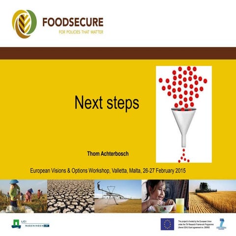 Next Steps | PDF