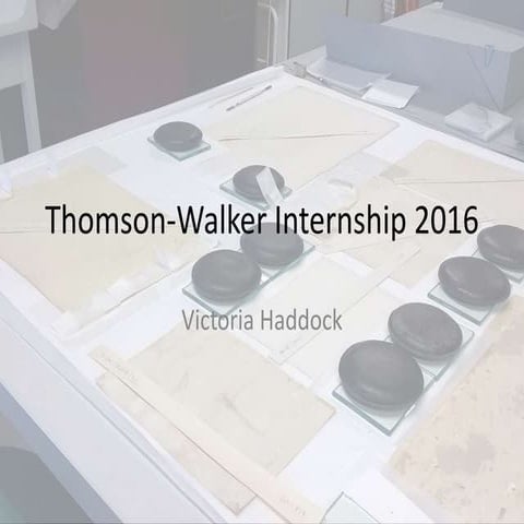 Thomson walker internship 2016