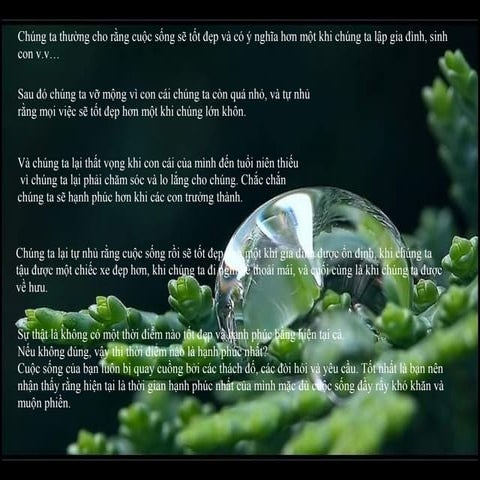 Thong diep hanh phuc