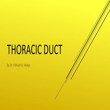 Thoracic ducts